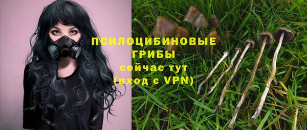 эйфоретик Сафоново