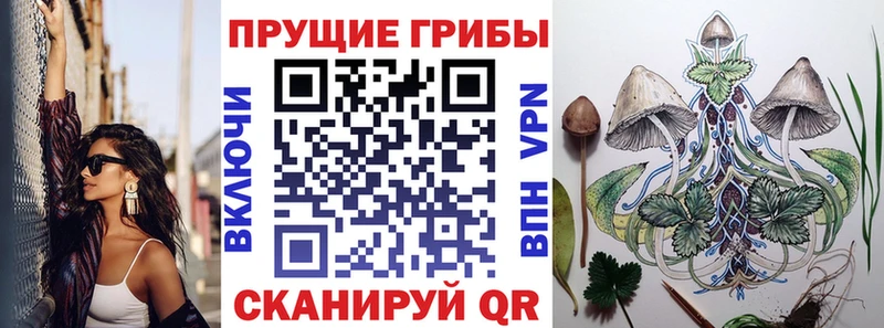 сколько стоит  Десногорск  Псилоцибиновые грибы ЛСД 