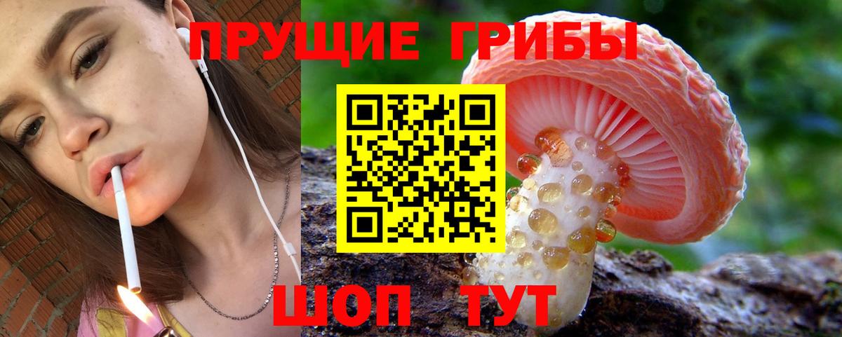 Галлюциногенные грибы прущие грибы  Вход с VPN  Десногорск 